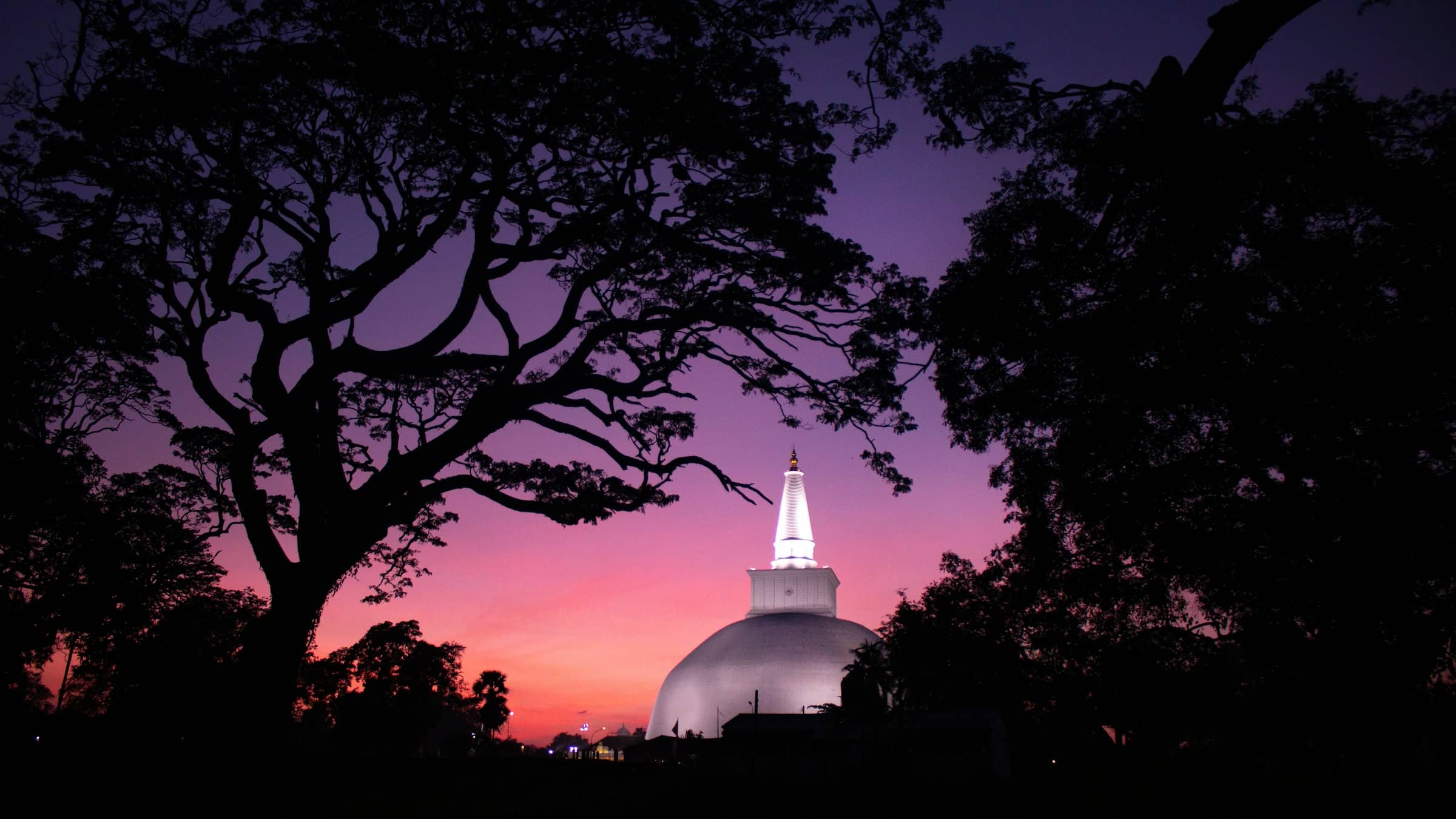 The white dome of a dagoba at Anuradhapura against a deep dusk sky, framed by dark trees.