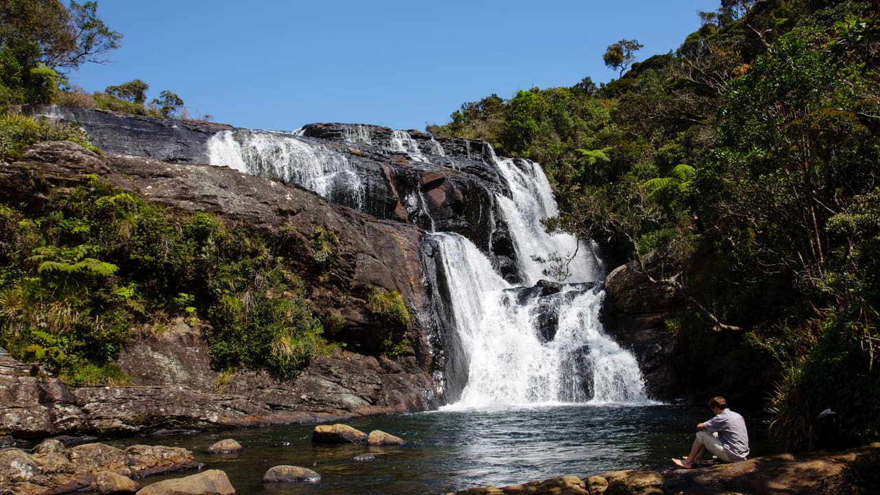 Baker's Falls dropping over dark rock into a pool on the Horton Plains loop.