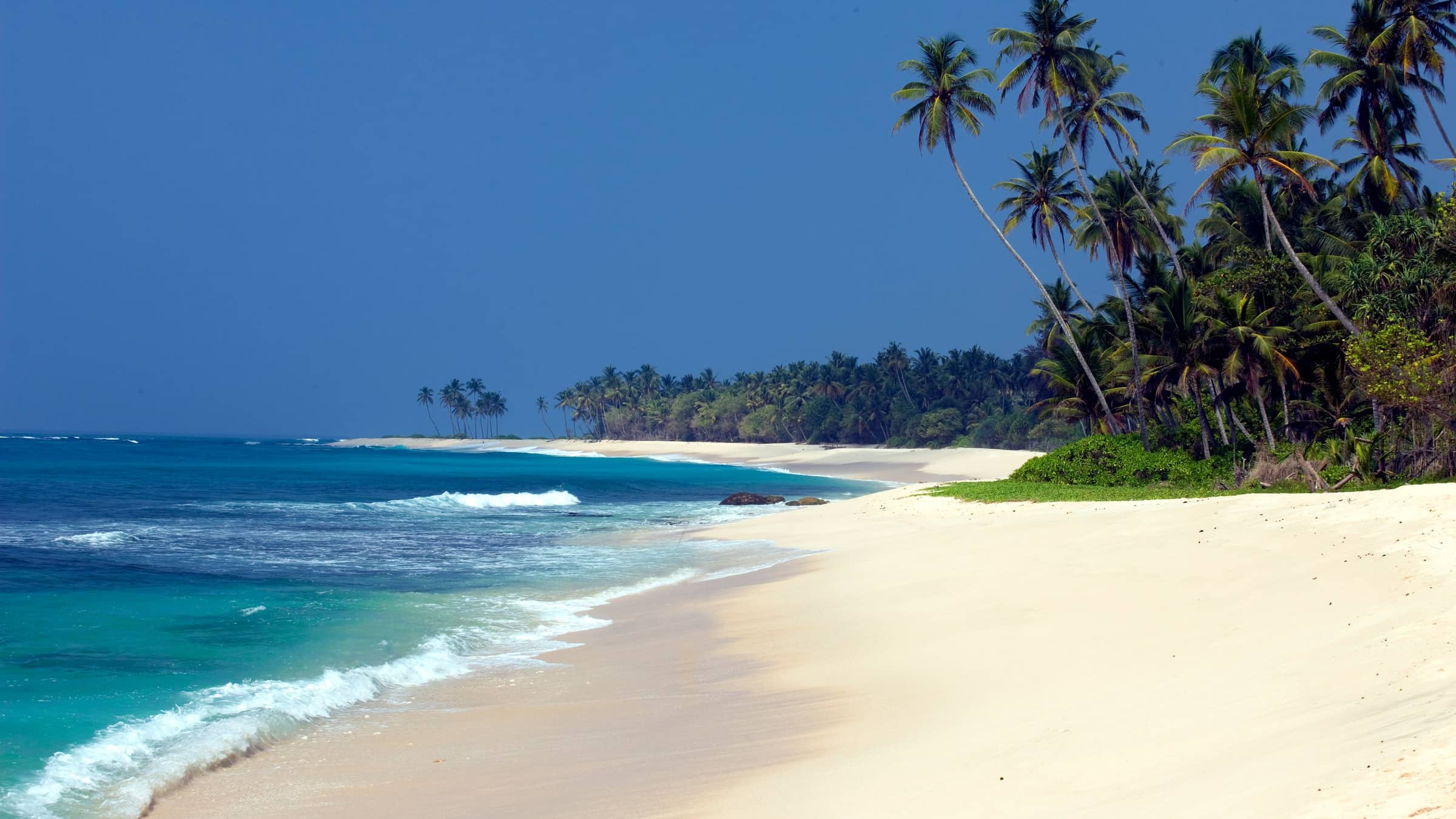 The beach at Bentota, a curve of white sand under coconut palms with turquoise water offshore.