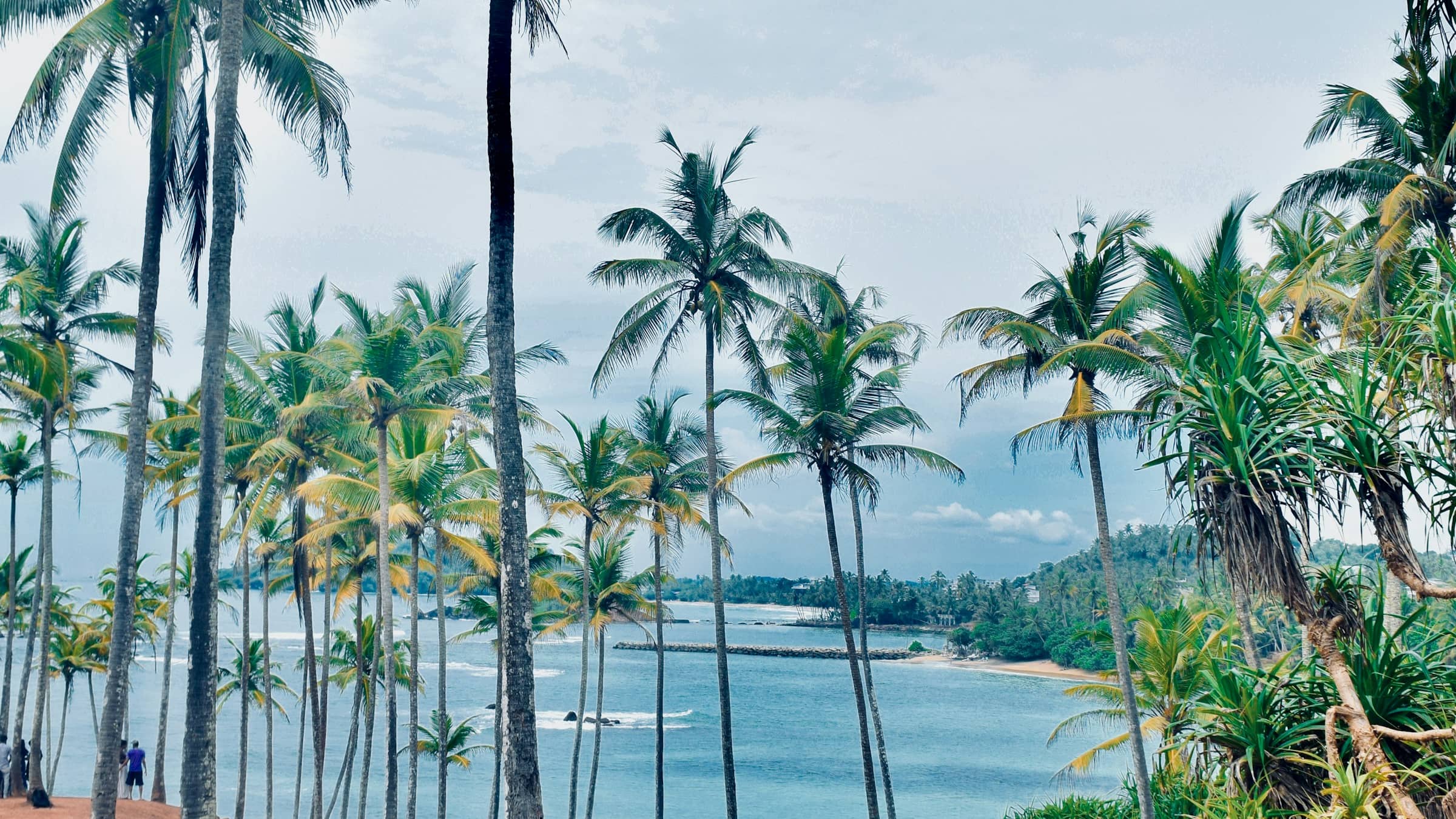 The palms of Coconut Tree Hill above Mirissa, leaning over turquoise water.