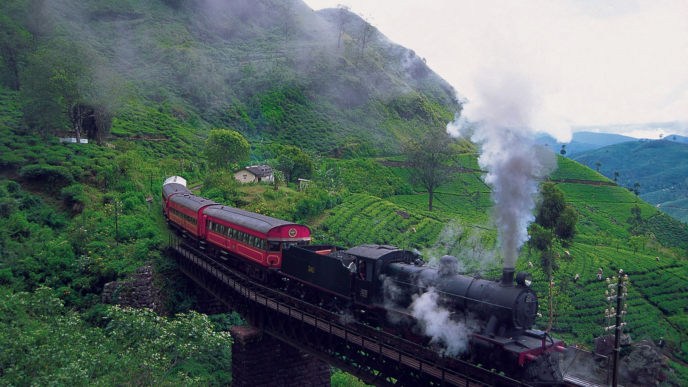 A steam train on the hill-country line running through tea estates in low cloud.