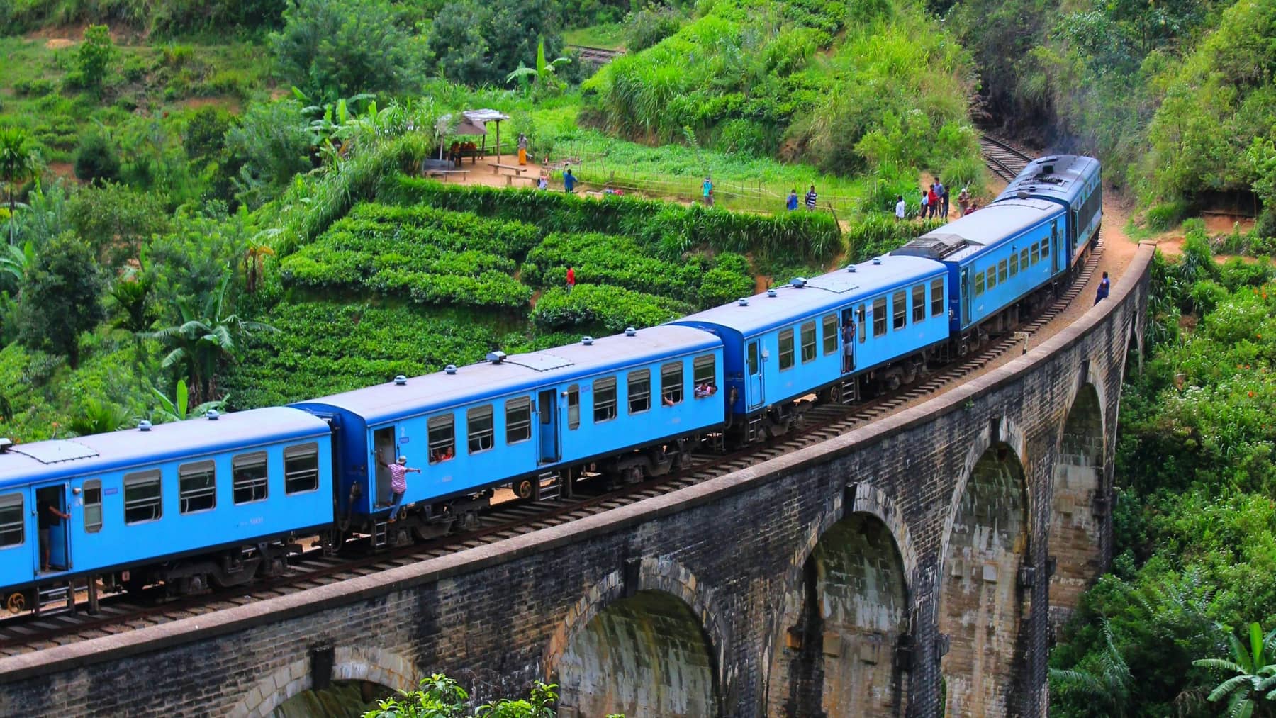 A blue train on the Nine Arch Bridge seen from the tea gardens above it.